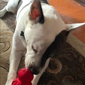 Meet your Posher, Matthew